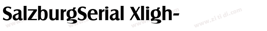 SalzburgSerial Xligh字体转换 SalzburgSerial Xligh字体转换